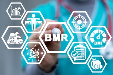 bmr calculation